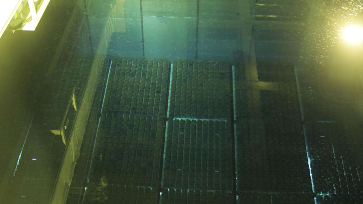 Japan pledges to reduce plutonium, but doesn't say how