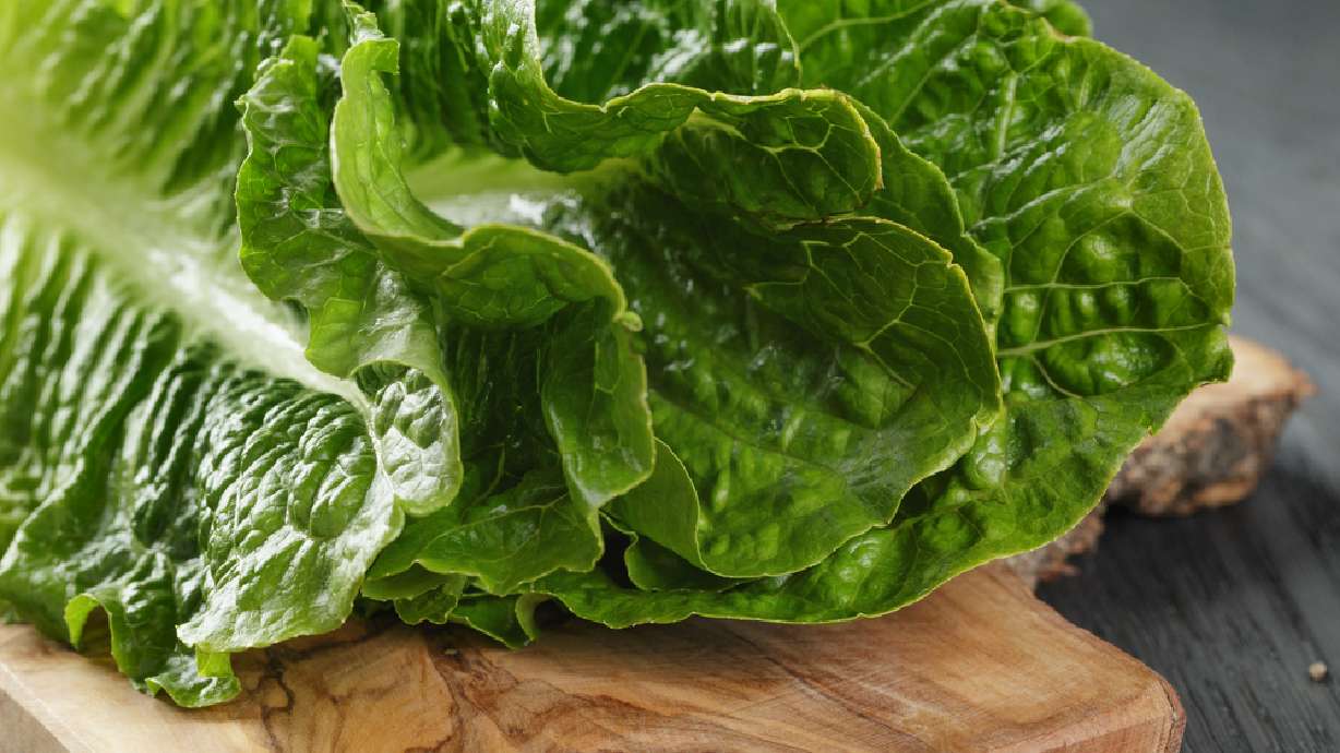Utah health officials: Romaine lettuce soon to be sold again with new labeling standards