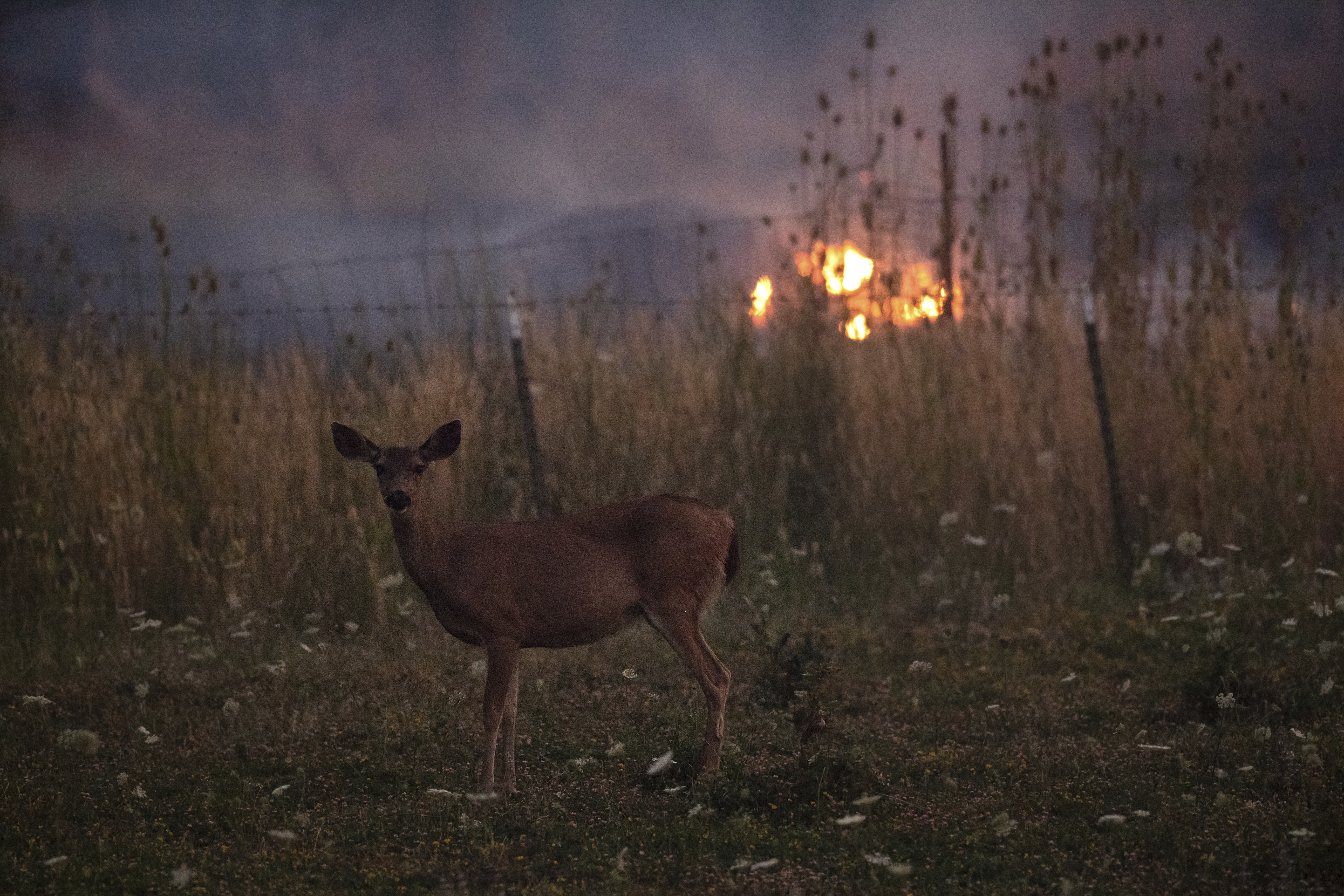 The Latest: Fire danger expected to last in West, Northwest
