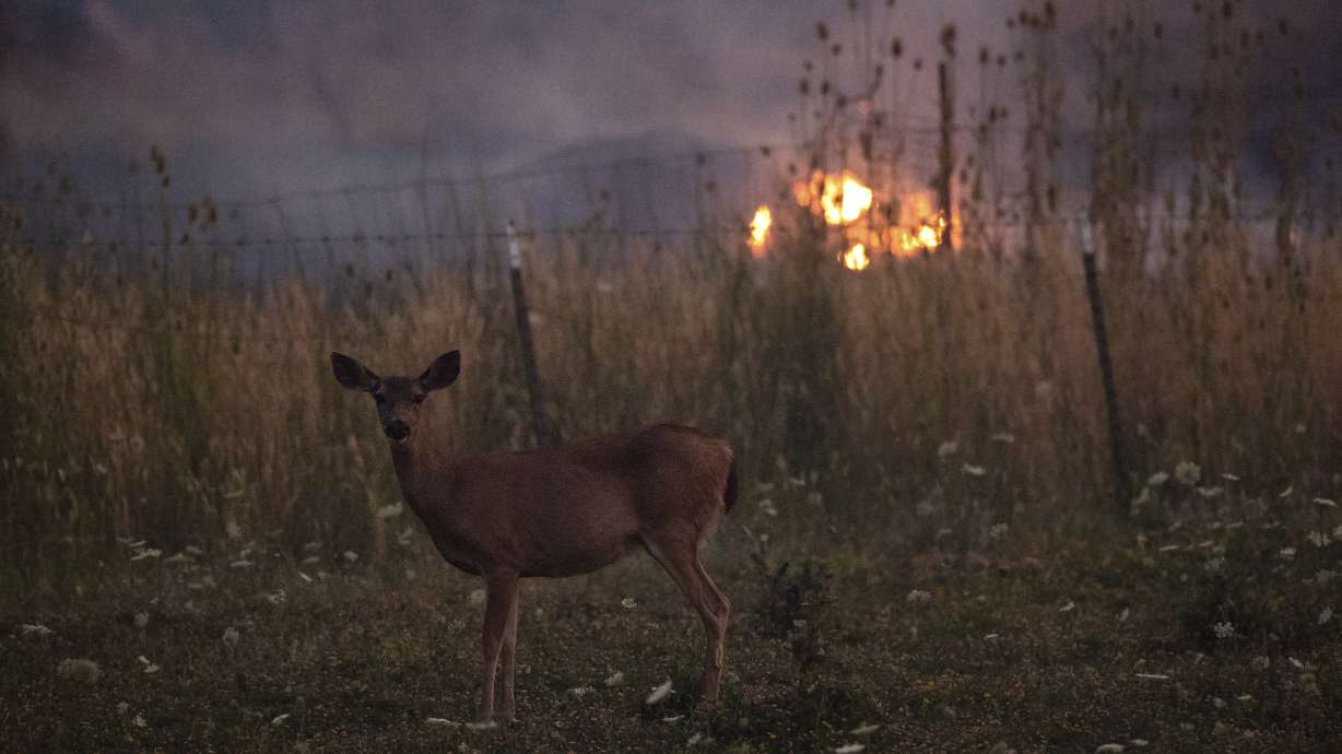 The Latest: Fire danger expected to last in West, Northwest