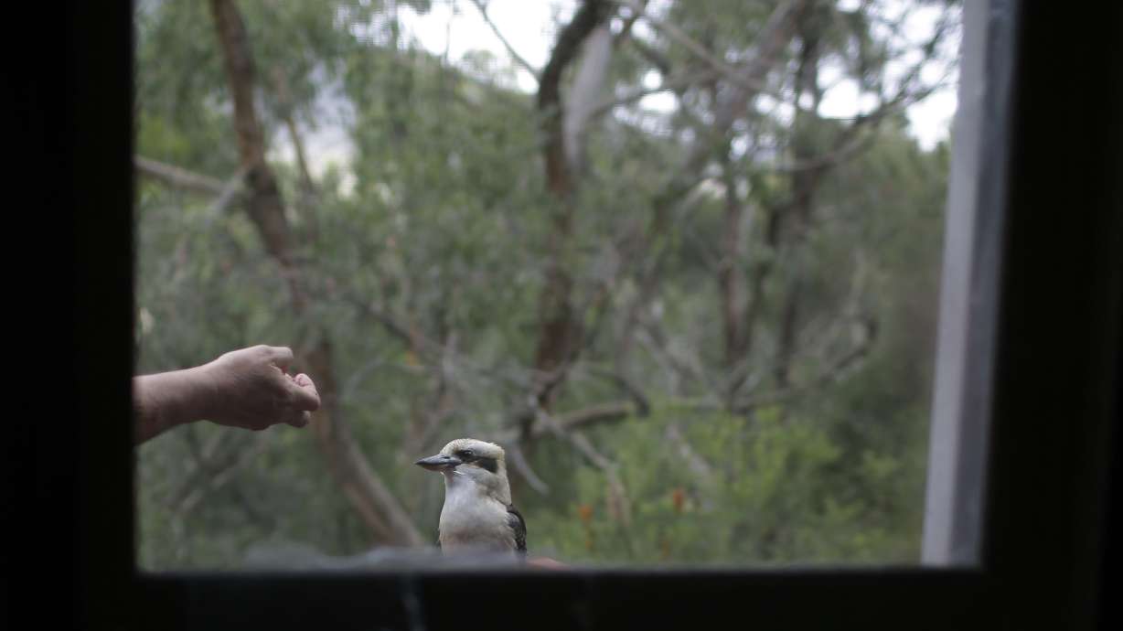 Law ending sperm donor secrecy helps Australian find her dad