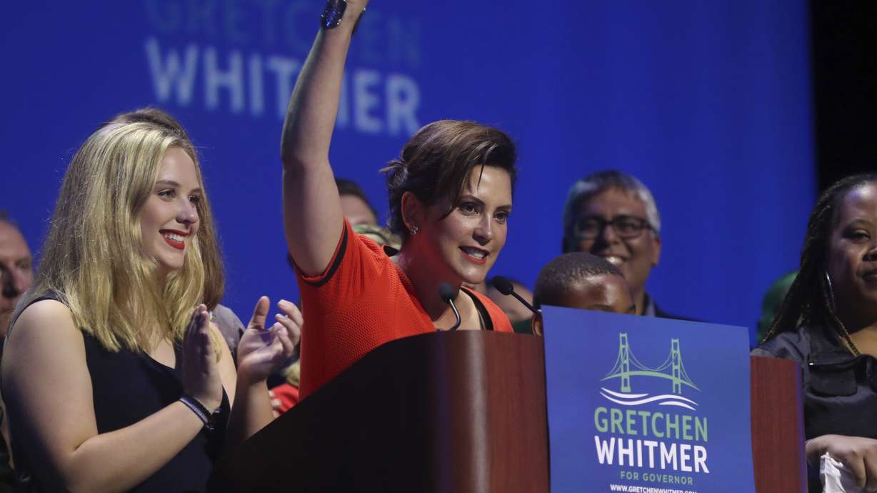 Michigan Democrats hoping for pink and blue wave in November