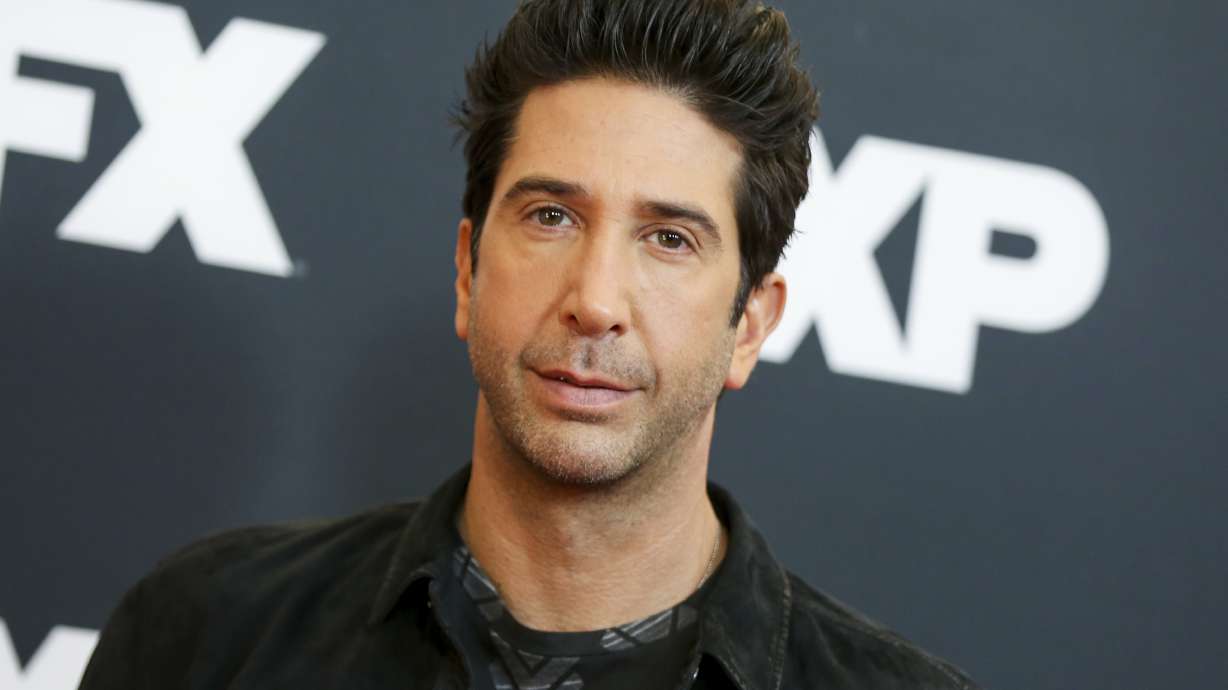 It's TV love for Schwimmer, Messing on 'Will & Grace'