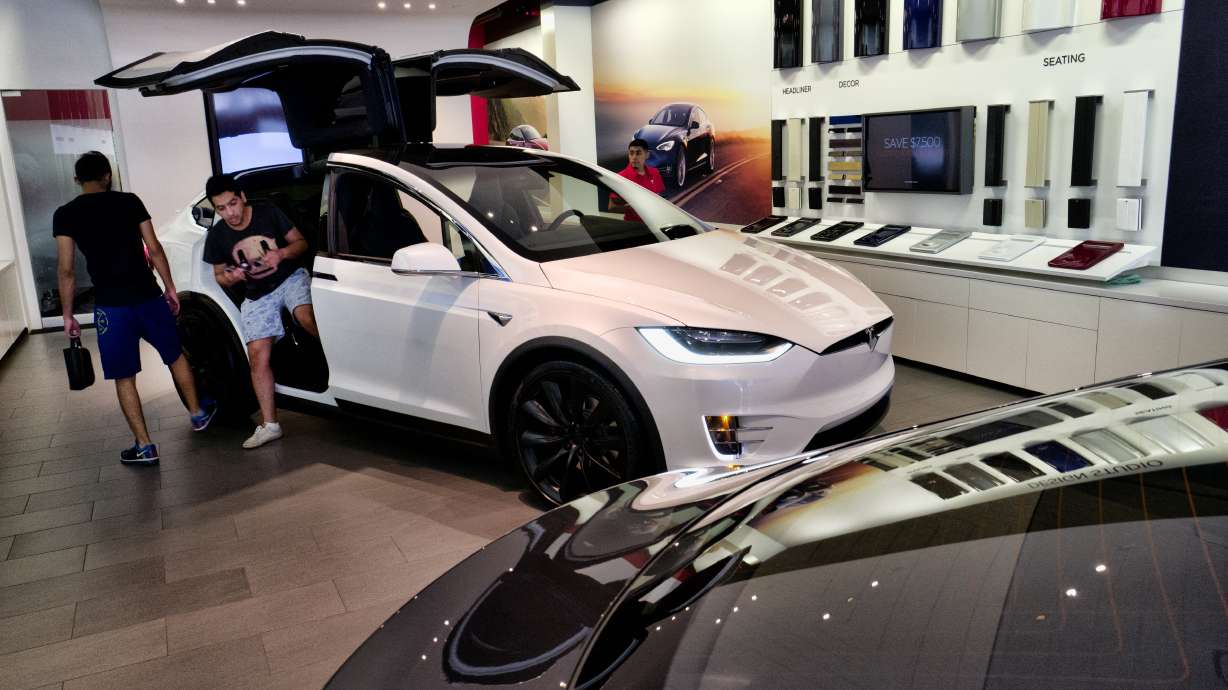 Tesla CEO's buyout bid raises eyebrows, legal concerns