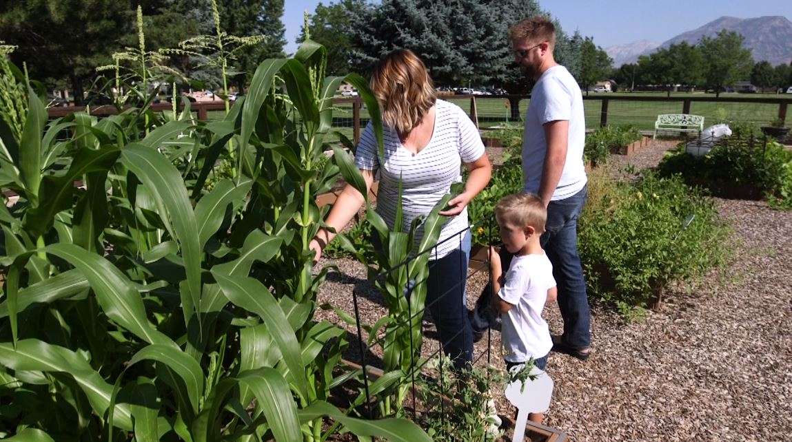 Michelle and Jason Conover work in Intermountain Healthcare's LiVe Well Garden in Orem each year. (Photo: KSL TV)