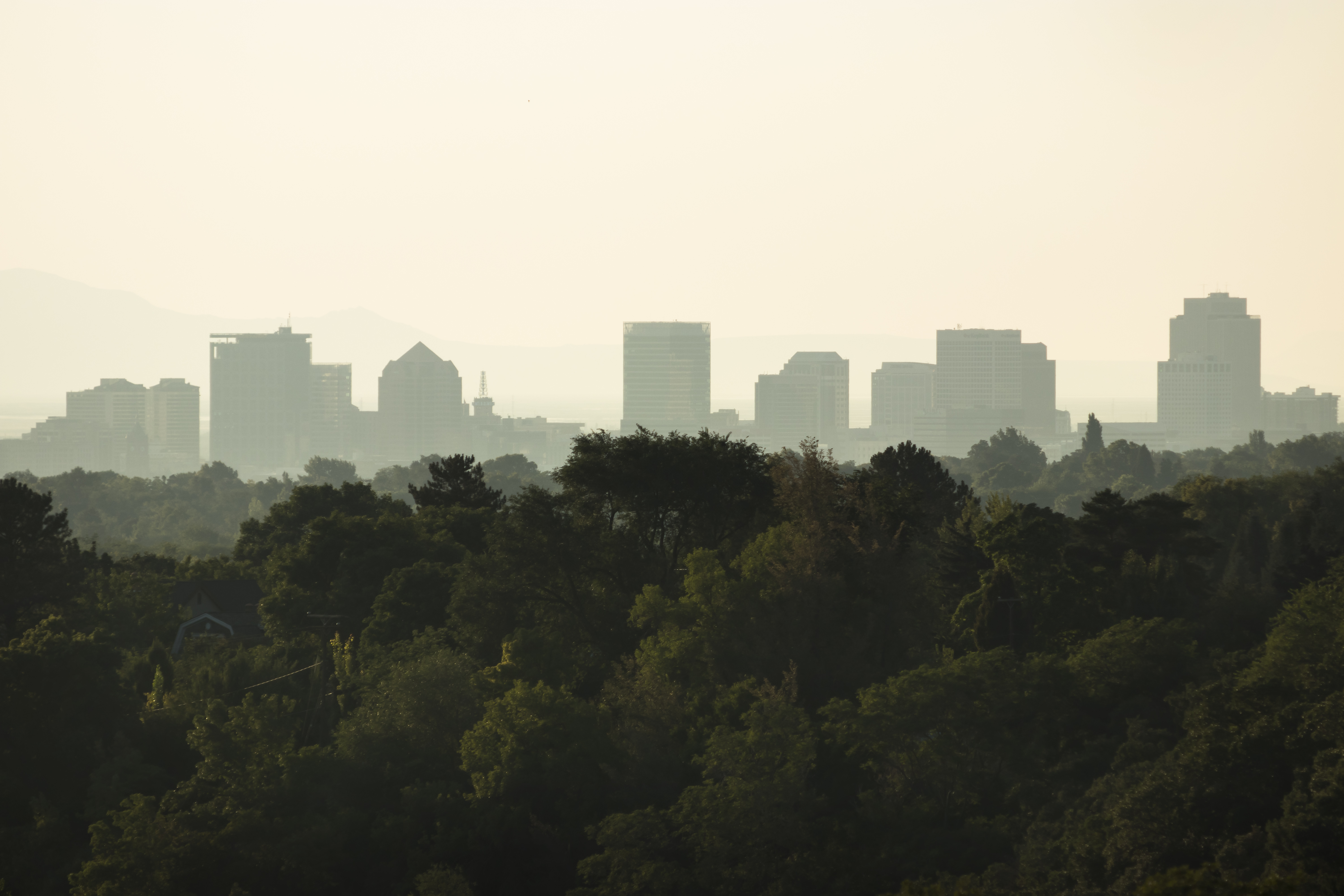 A view of downtown Salt Lake City from Tanner Park on Aug. 7, 2018. (Photo: Carter Williams, KSL.com)
