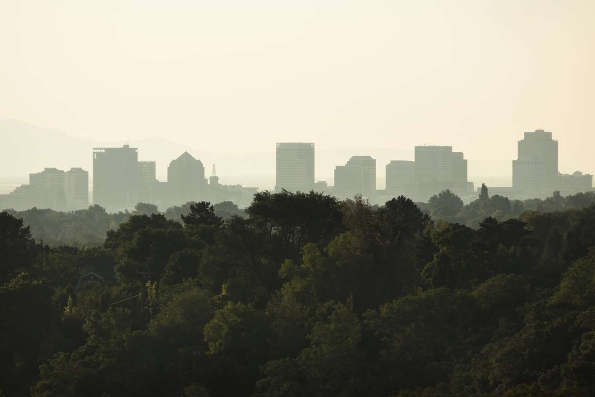 A view of downtown Salt Lake City from Tanner Park on Aug. 7, 2018. (Photo: Carter Williams, KSL.com)