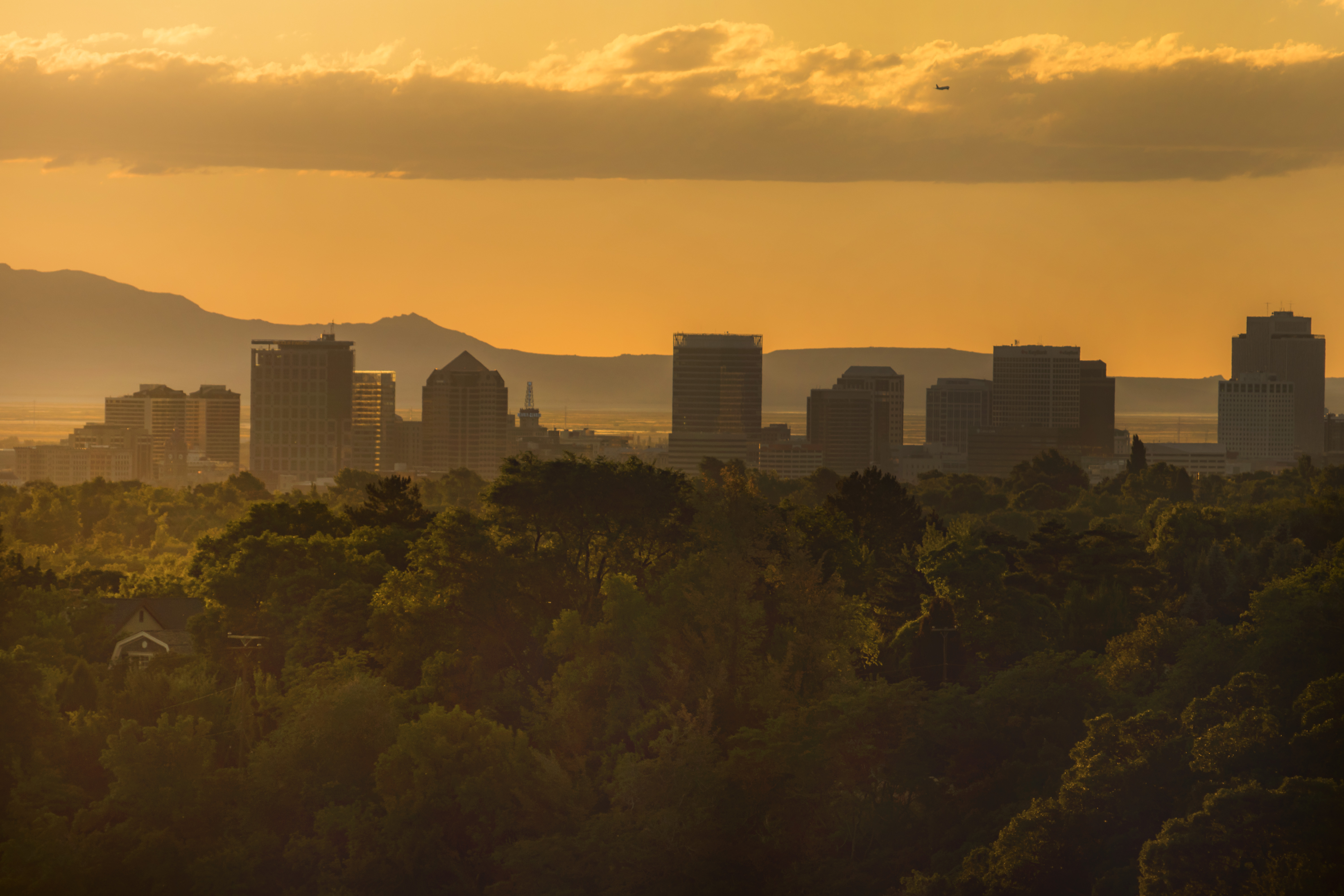 A view of downtown Salt Lake City from Tanner Park on June 30, 2018. (Photo: Carter Williams, KSL.com)