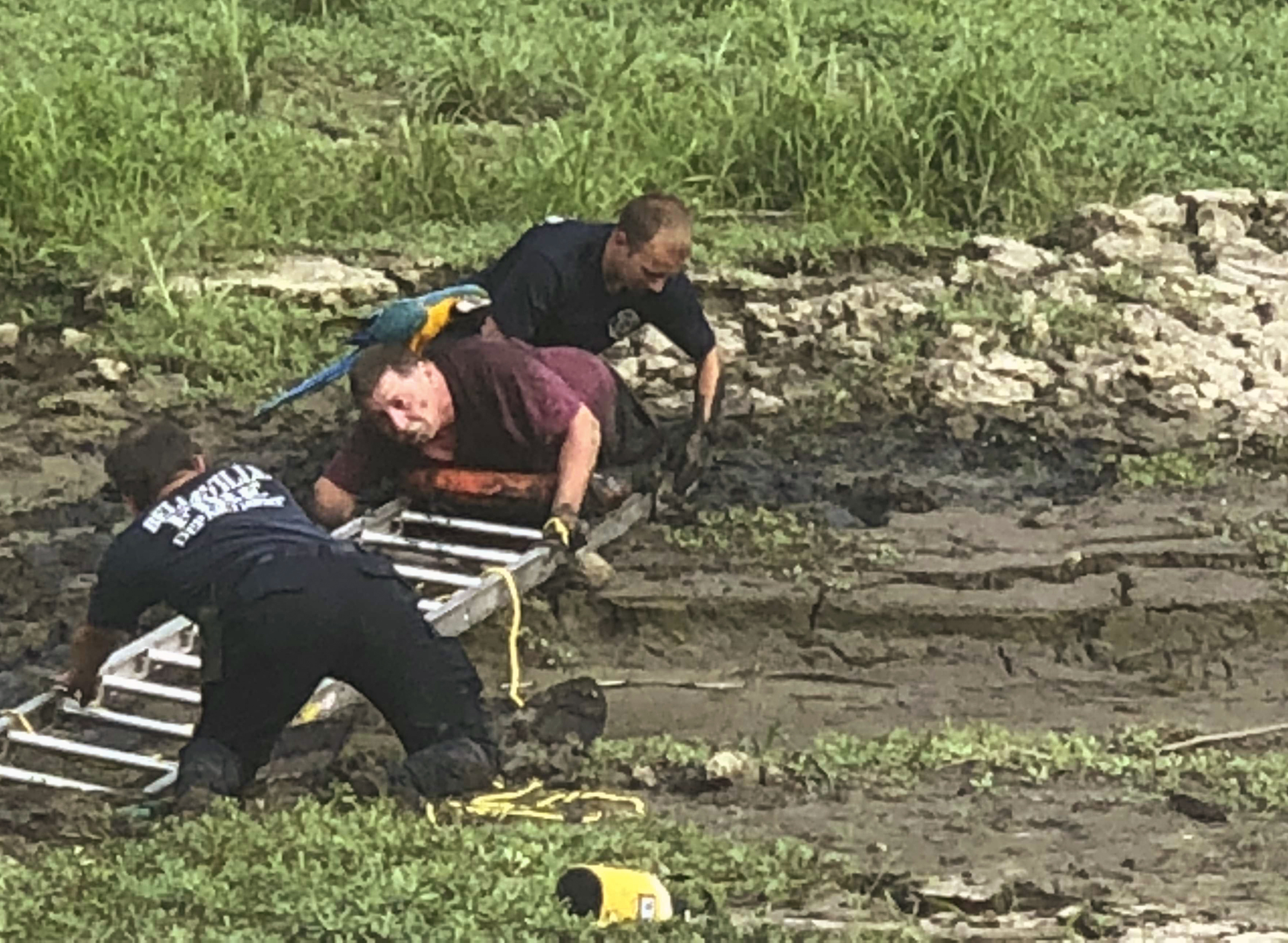 Man rescued from mud with parrot perched on his shoulders