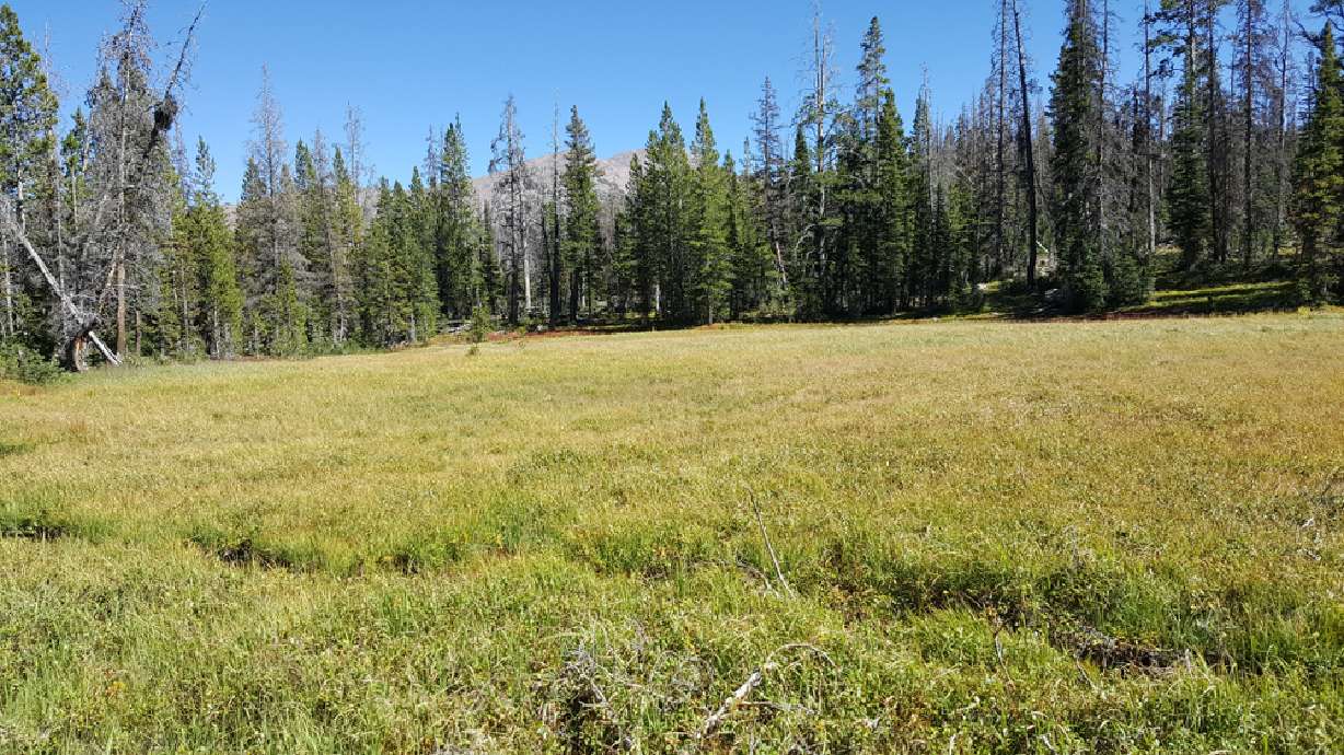 Commission moves ahead with plan for new federal designation for central Wasatch Mountains