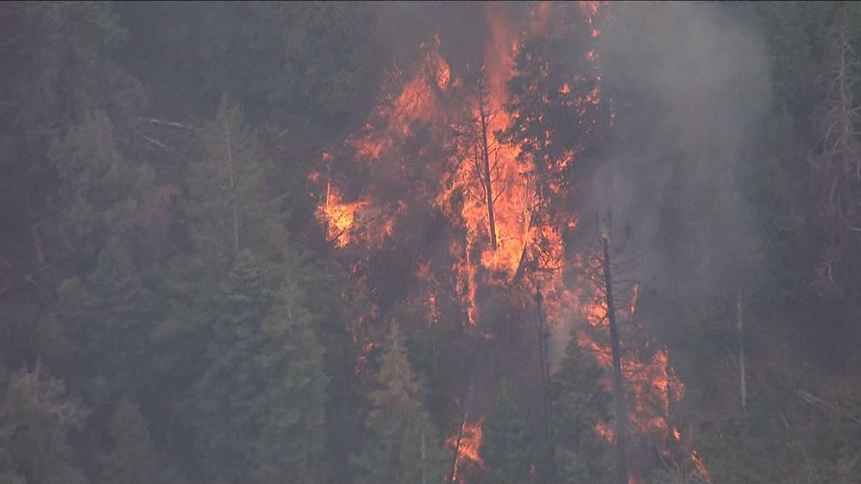 Study: Prescribed burns underused to reduce wildfire risks