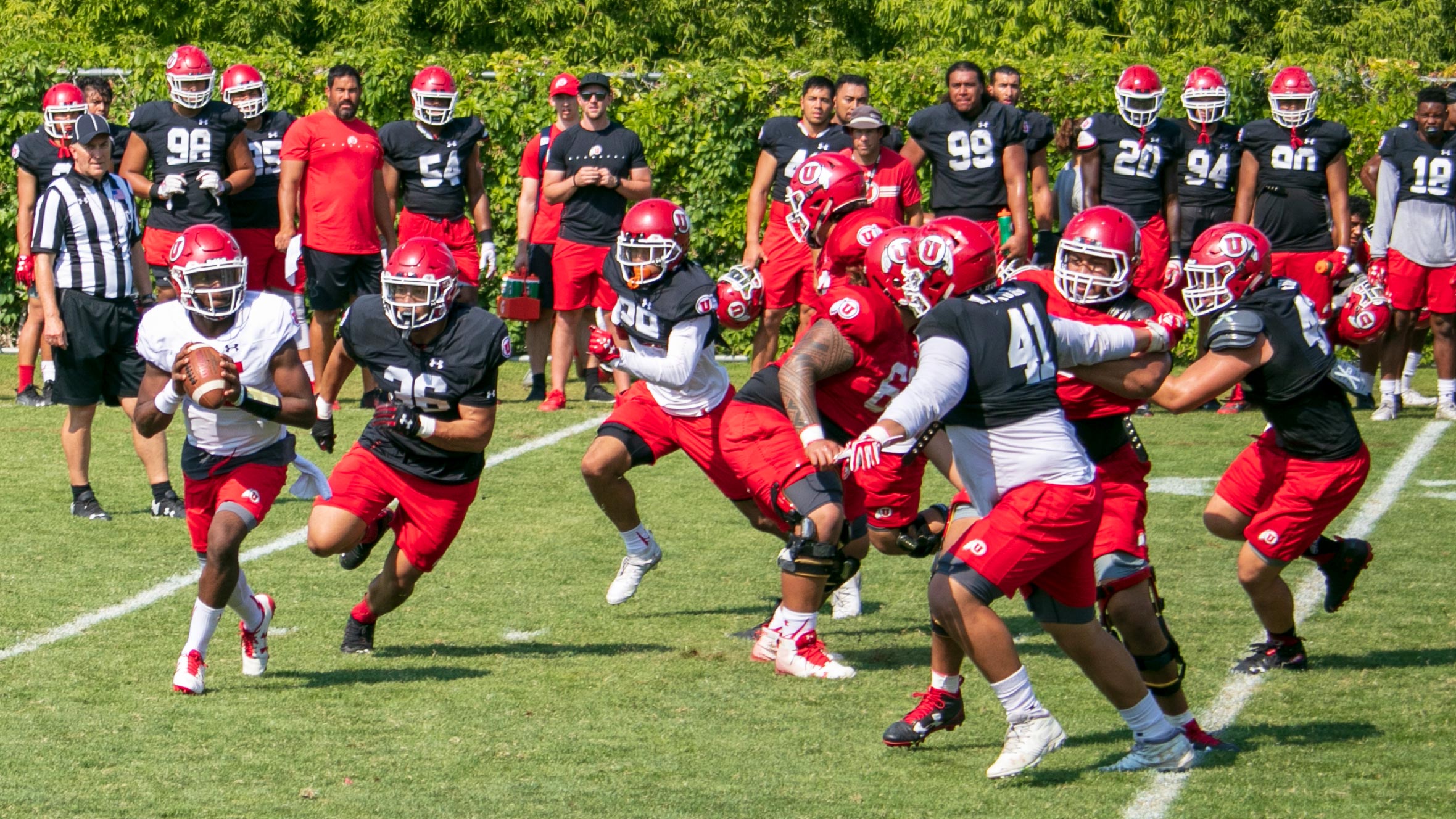 Linebacker Francis Barnard pursues quarterback Jason Shelley at the Eccles Football Complex in Salt Lake City on Aug. 15, 2018. The University of Utah is in Day 13 of its fall camp schedule. (Photo: Josh Furlong, KSL.com)