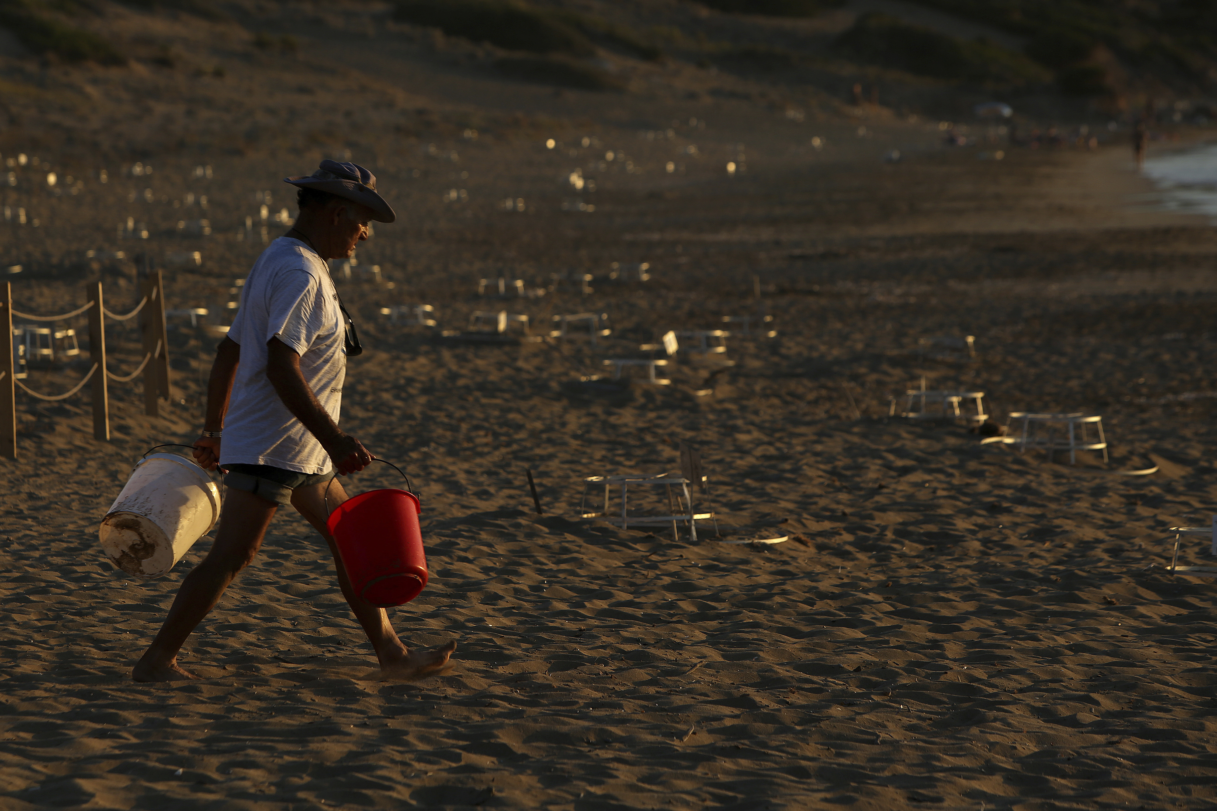 Endangered Green, Loggerhead turtles make comeback in Cyprus