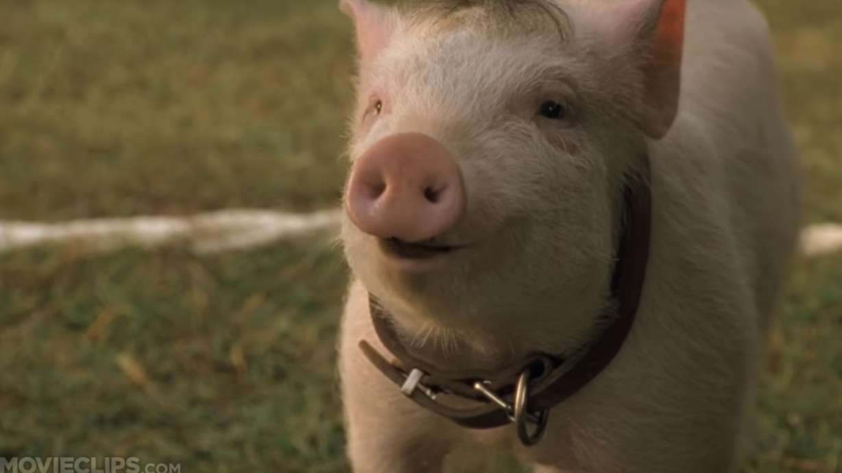 7 of the best movies streaming on Netflix, Hulu and Amazon in August