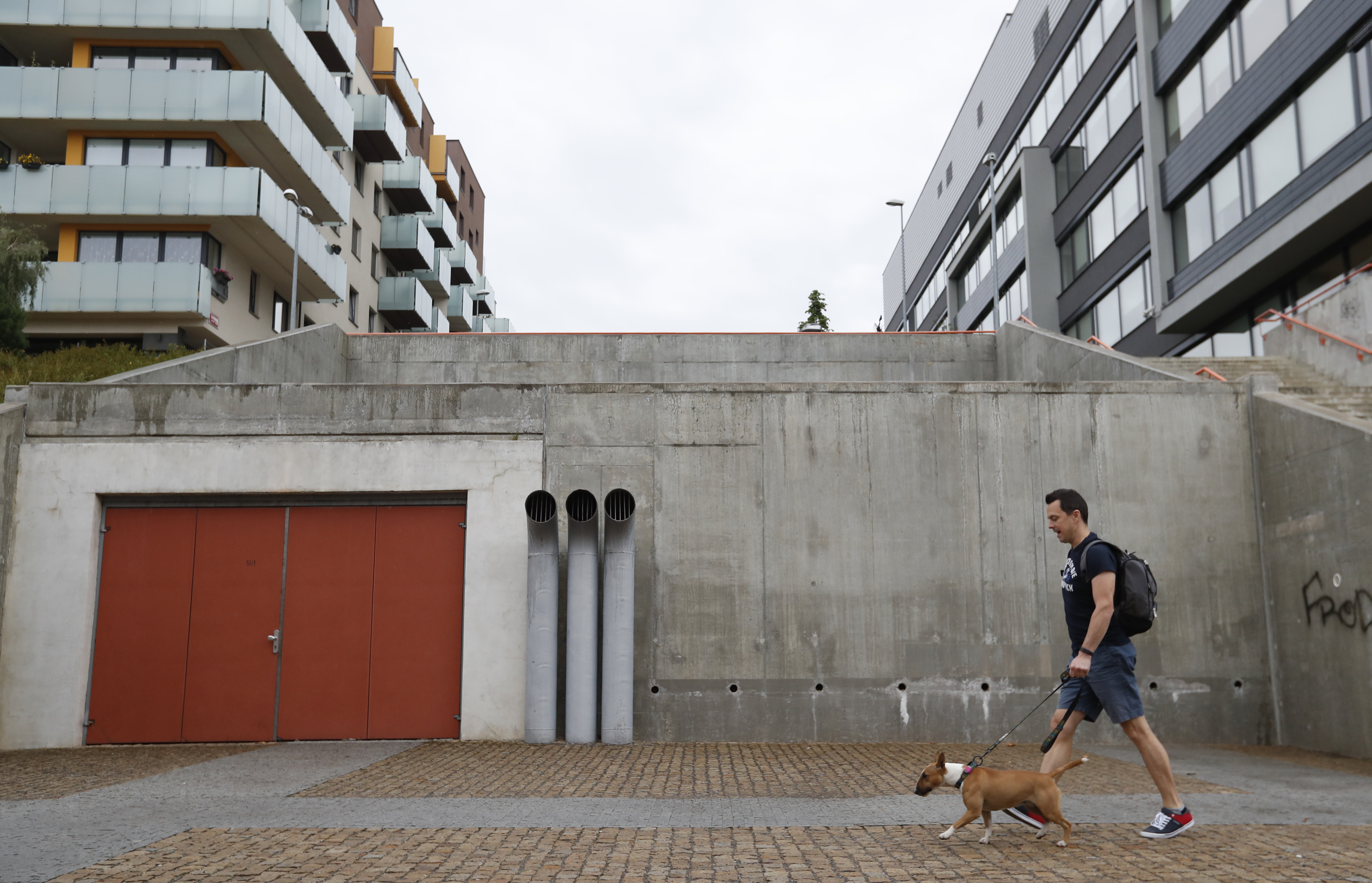 Czech entrepreneur Robert Hasek walks with his pet bull terrier, wearing a doggy fitness tracker attached to the dog collar during a demonstration in Prague, Czech Republic, Friday, Aug. 10, 2018. (AP Photo/Petr David Josek)