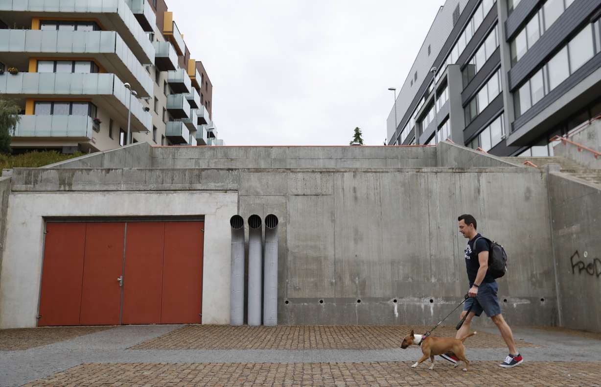 Czech entrepreneur Robert Hasek walks with his pet bull terrier, wearing a doggy fitness tracker attached to the dog collar during a demonstration in Prague, Czech Republic, Friday, Aug. 10, 2018. (AP Photo/Petr David Josek)