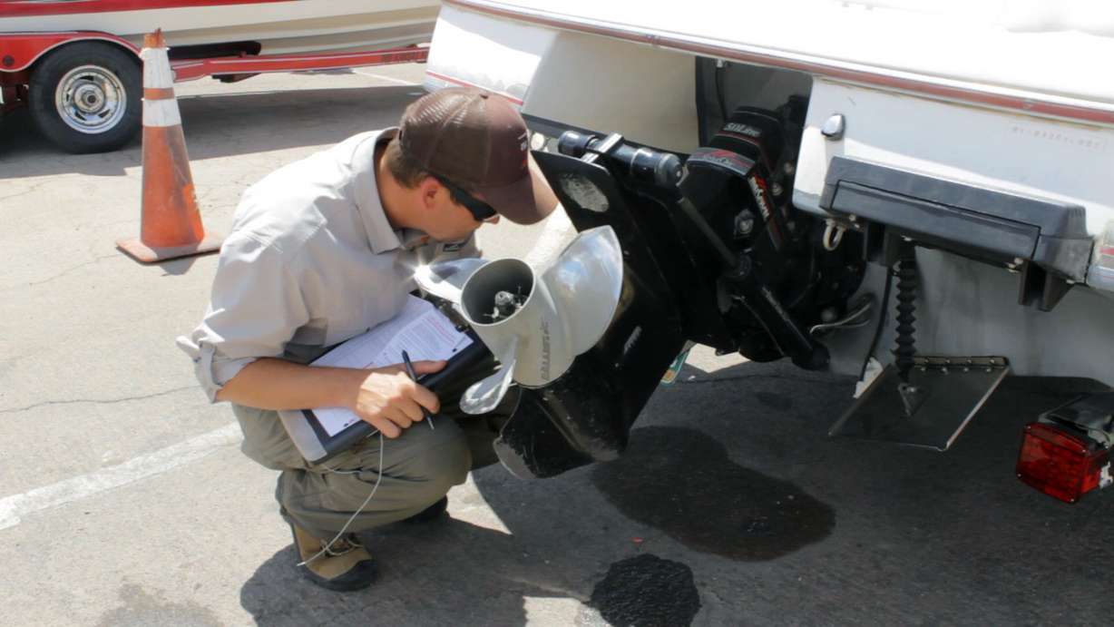 An aquatic invasive species interdiction specialist inspects a boat at Lake Powell. (Photo: Devan Chavez, Utah State Parks)