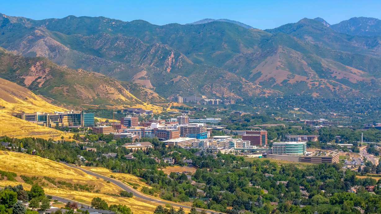 Do students impact rental prices in the city?