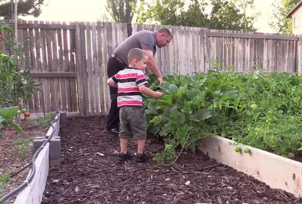 The EPA says a typical homeowner could save more than 25,000 gallons of water annually by using drip irrigation in the garden. Jim Roy installed a drip system for his garden some five years ago. Photo: KSL TV