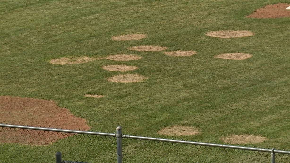 The baseball diamond at North Ogden Junior High School is pictured on Friday, Aug. 24, 2018. The girls softball is no longer able to practice on it after administrators say vandals left several burn marks on it over the summer. (Photo: KSL TV)