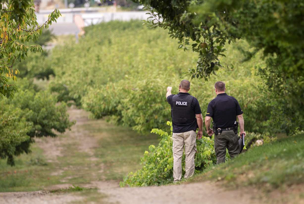 An officer standing in an orchard in Fruit Heights mimics pointing a handgun in the direction of U.S. 89 as investigators from multiple agencies try to determine where shots fired at a Utah Transit Authority bus and tanker originated from on Monday, Aug. 27, 2018. Photo: Scott G Winterton, KSL