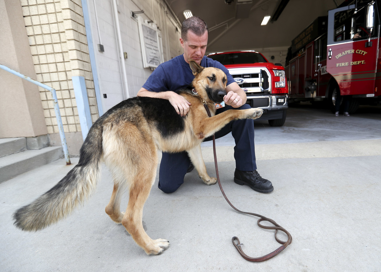 Draper firefighter Patrick Cullen pets his new dog, Mendo, at Fire Station No. 21 in Draper on Monday, Aug. 27, 2018. While working the Mendocino Complex Fire in Northern California, Cullen saw a dog huddled under a tree. He brought the German shepherd puppy to the Mendocino Animal Hospital for treatment where the dog was named Mendo by firefighters. Mendo soon received a clean bill of health, and after no one claimed the dog, the shelter agreed to let Cullen adopt him. (Photo: Steve Griffin, KSL)