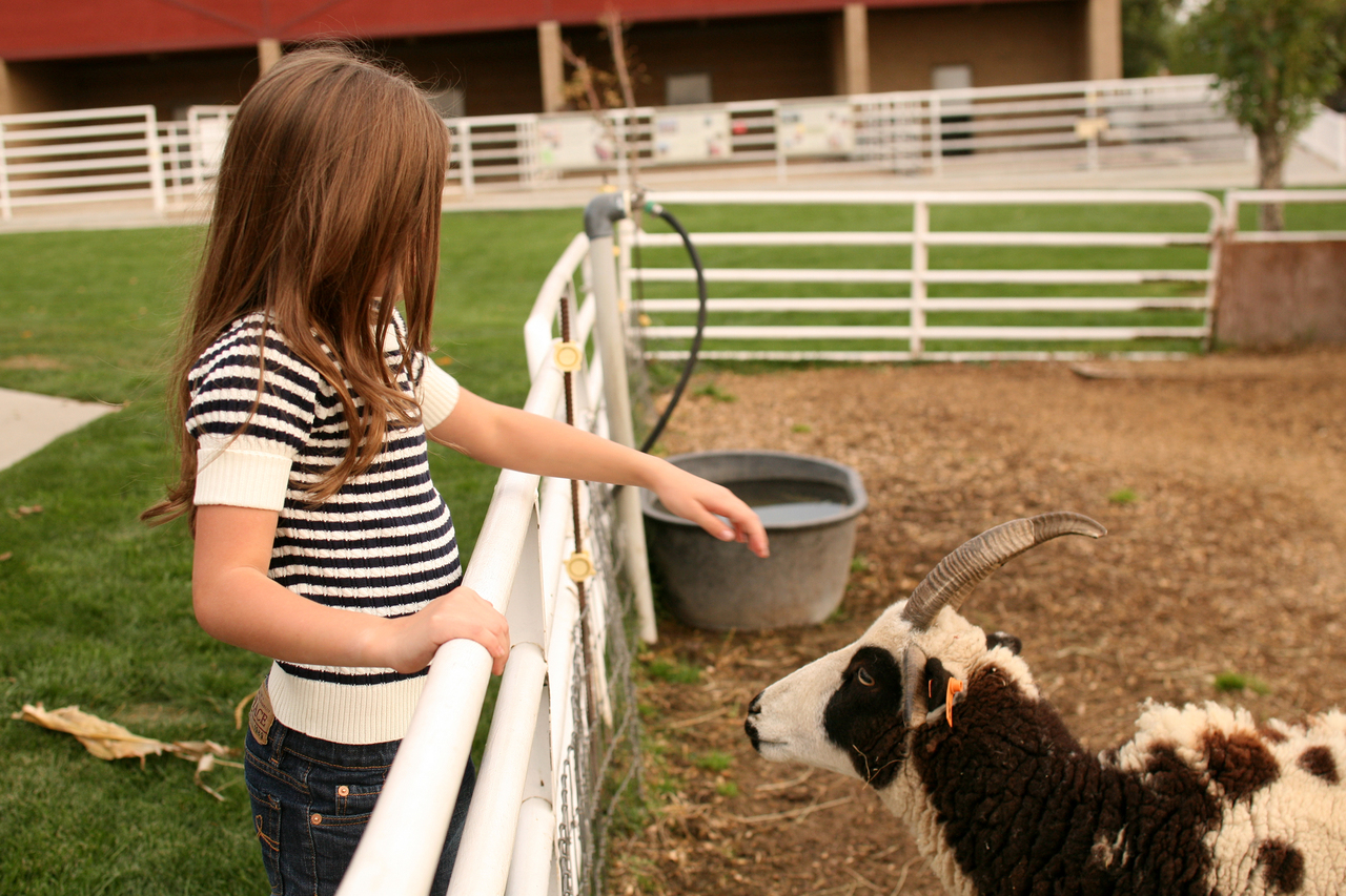 5 ways to meaningfully celebrate Labor Day