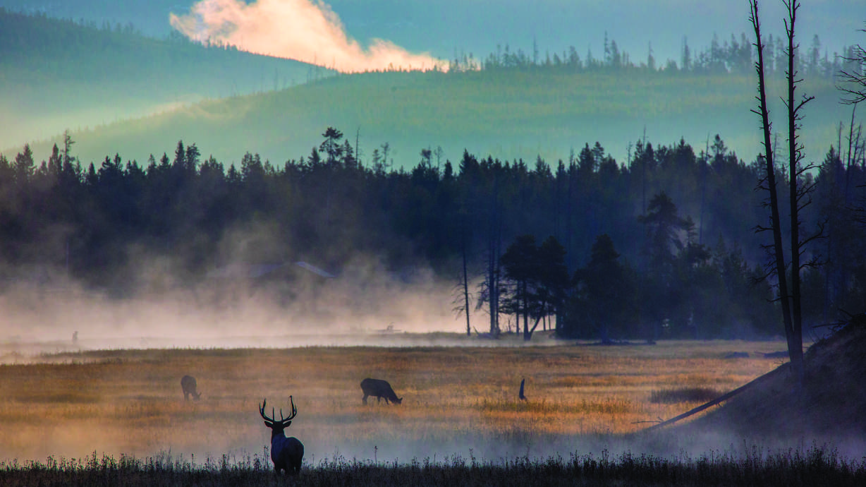 Top 5 reasons for a fall vacation in West Yellowstone