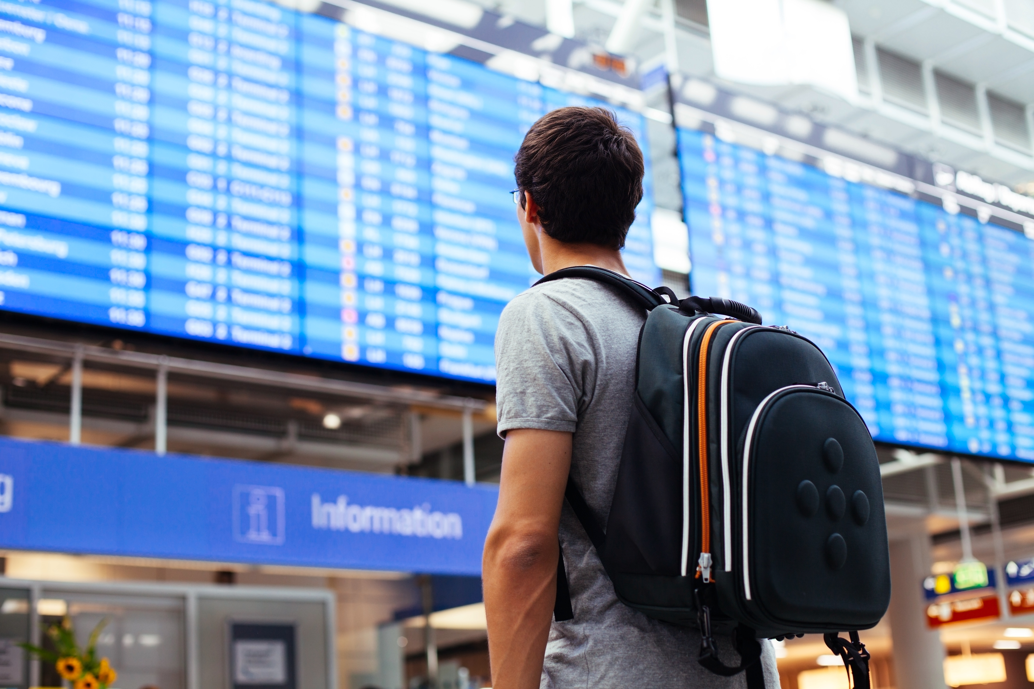 Thanksgiving 2018: Do you know the best time to book flights? Google does