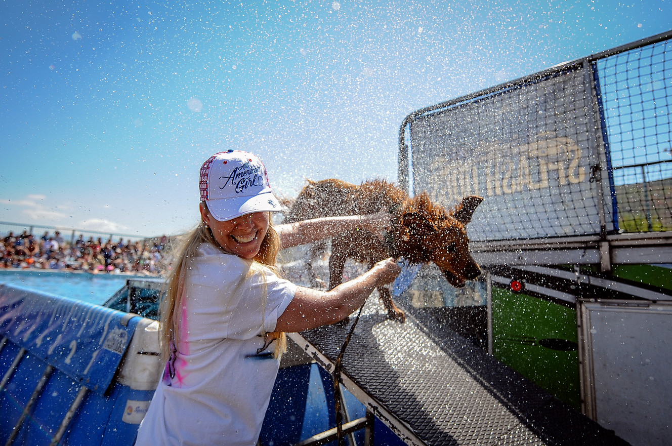 Spectators take in world-class sheepherding competition at Utah's Soldier Hollow's Classic