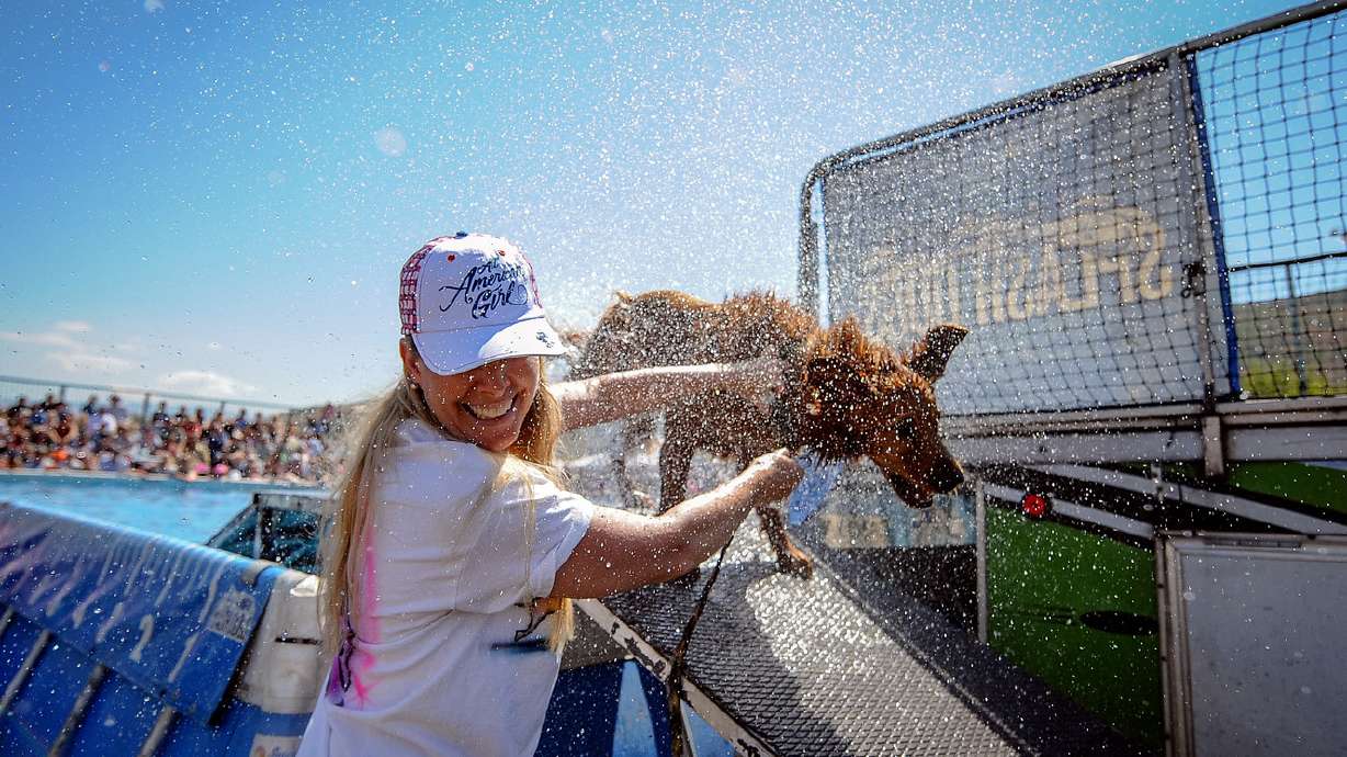 Spectators take in world-class sheepherding competition at Utah's Soldier Hollow's Classic