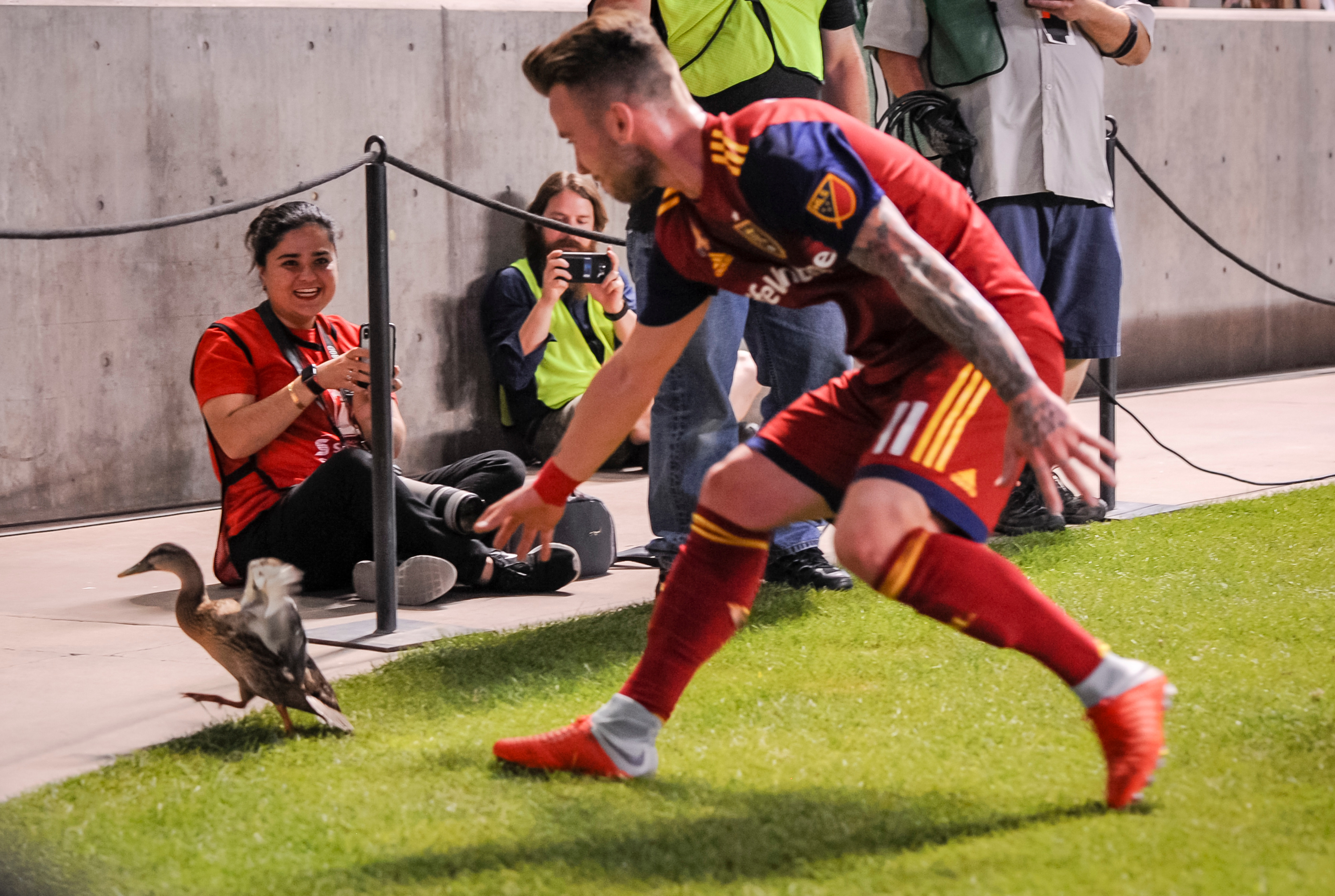 Real Salt Lake midfielder Albert Rusnak (11) chases a duck off the pitch as Real Salt Lake hosts the LA Galaxy at Rio Tinto Stadium in Sandy, Utah on Saturday, Sept. 1, 2018. (Photo: Adam Fondren for the Deseret News)