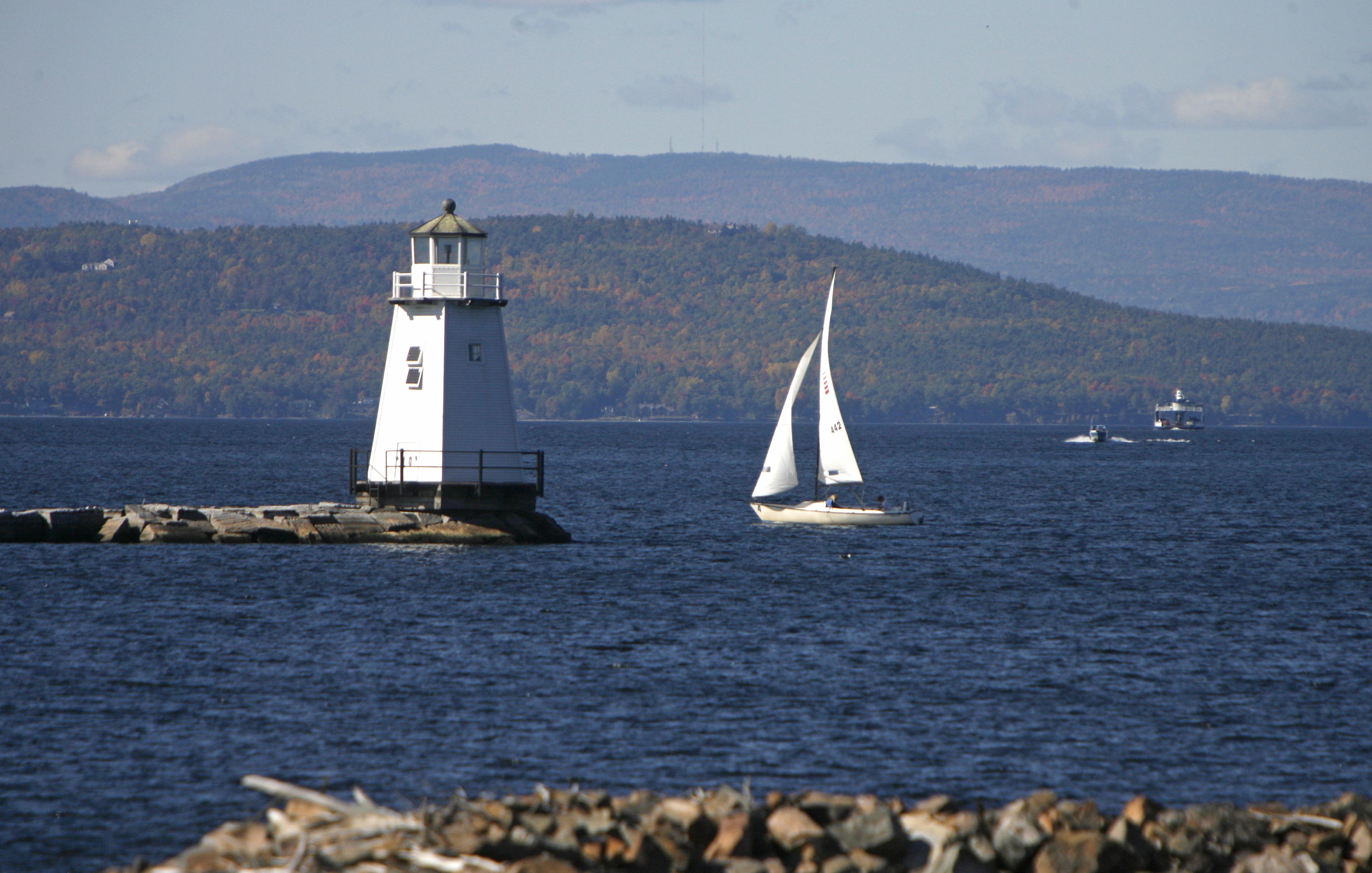 Moose crowded by onlookers on shore drowns in Vermont lake
