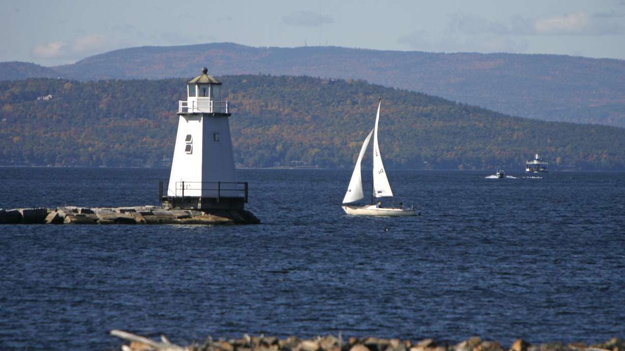 Moose crowded by onlookers on shore drowns in Vermont lake