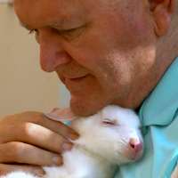 Veterans home residents find support in baby albino wallaby