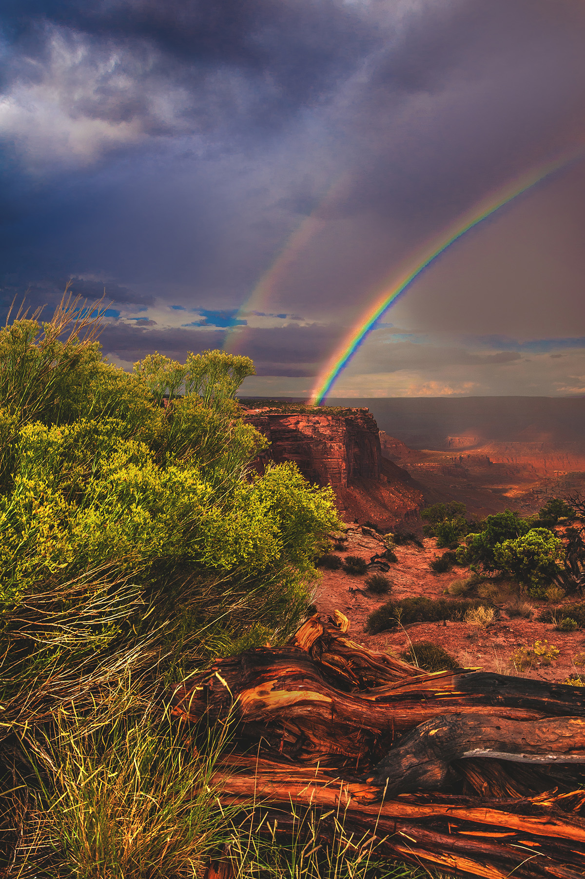 12 incredible photos taken in Utah this summer