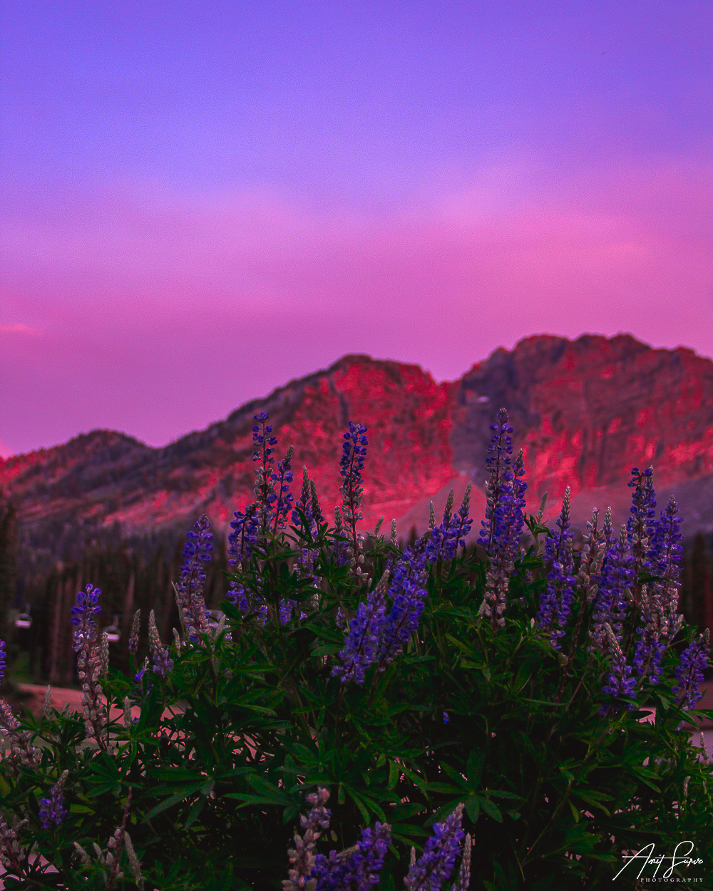 12 incredible photos taken in Utah this summer