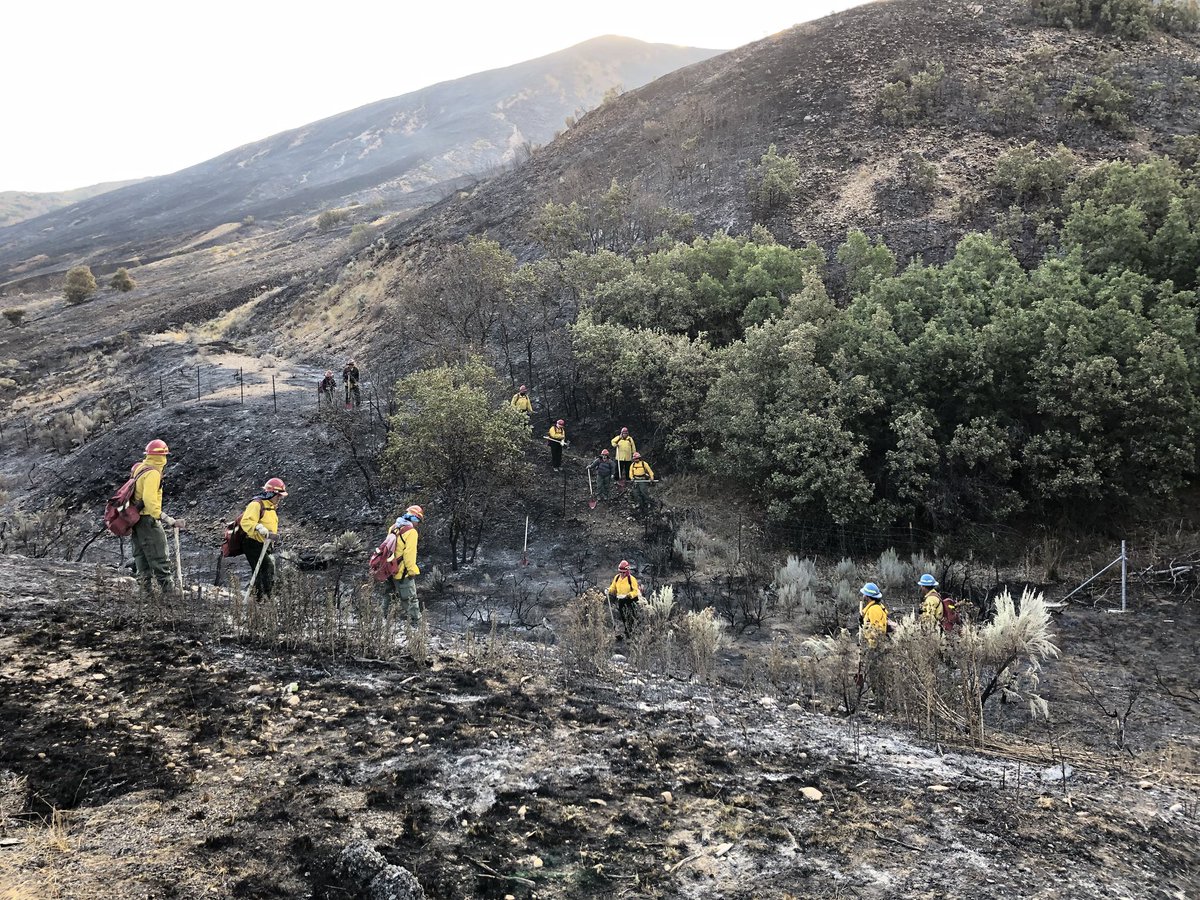 Fire updates: Arson-caused wildfire in Summit County nearly 50 percent contained