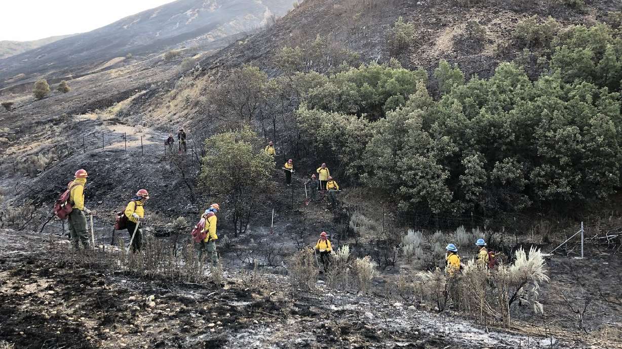 Fire updates: Arson-caused wildfire in Summit County nearly 50 percent contained