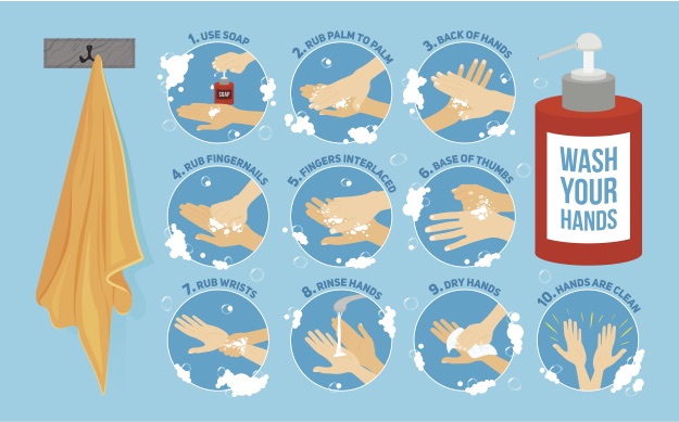 (Photo: Pro_Vector, Shutterstock)