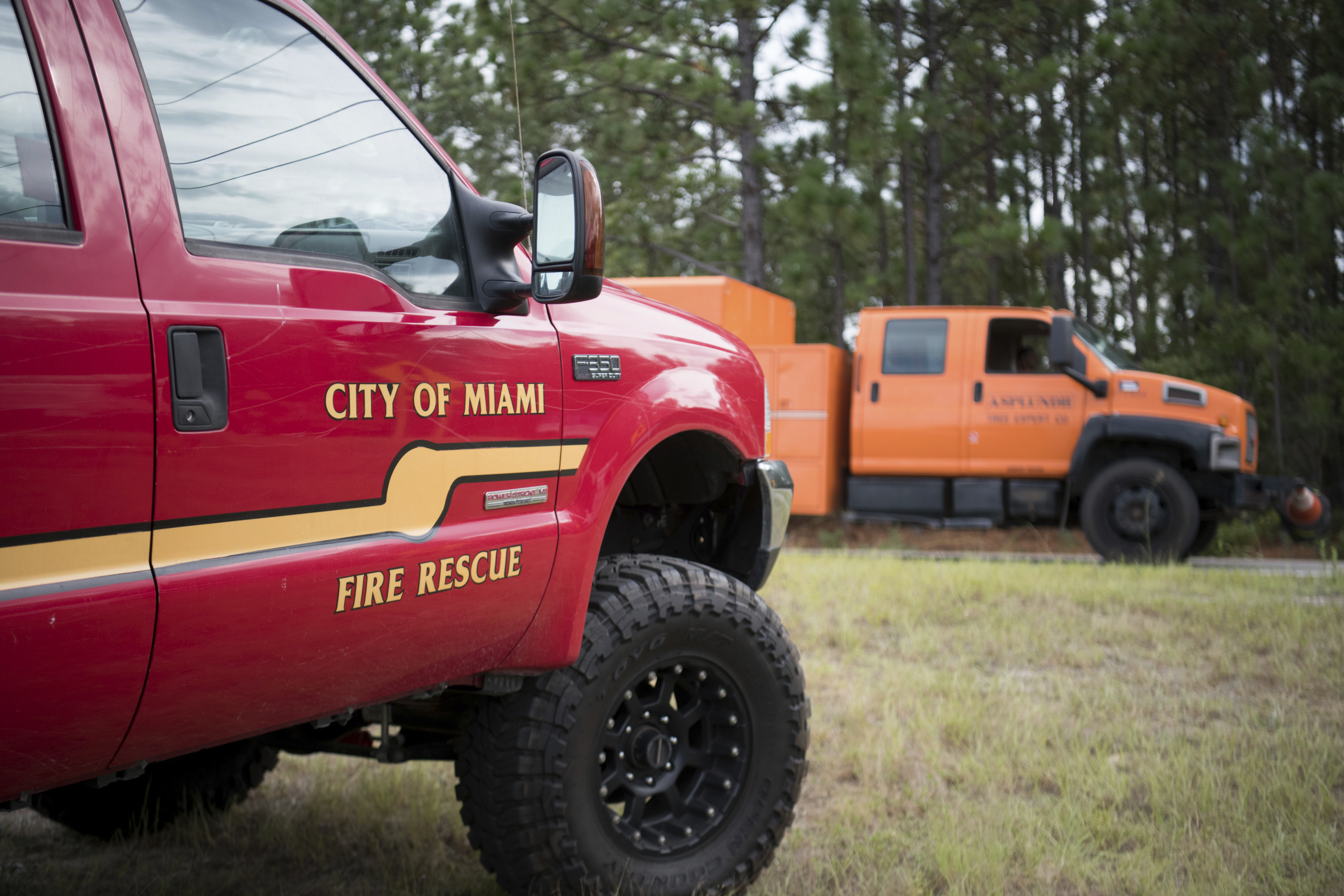 WHAT'S HAPPENING: Tree falling in Florence kills mom, baby