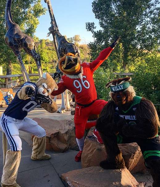 Cosmo, Swoop, Big Blue and more: facts about Utah college mascots