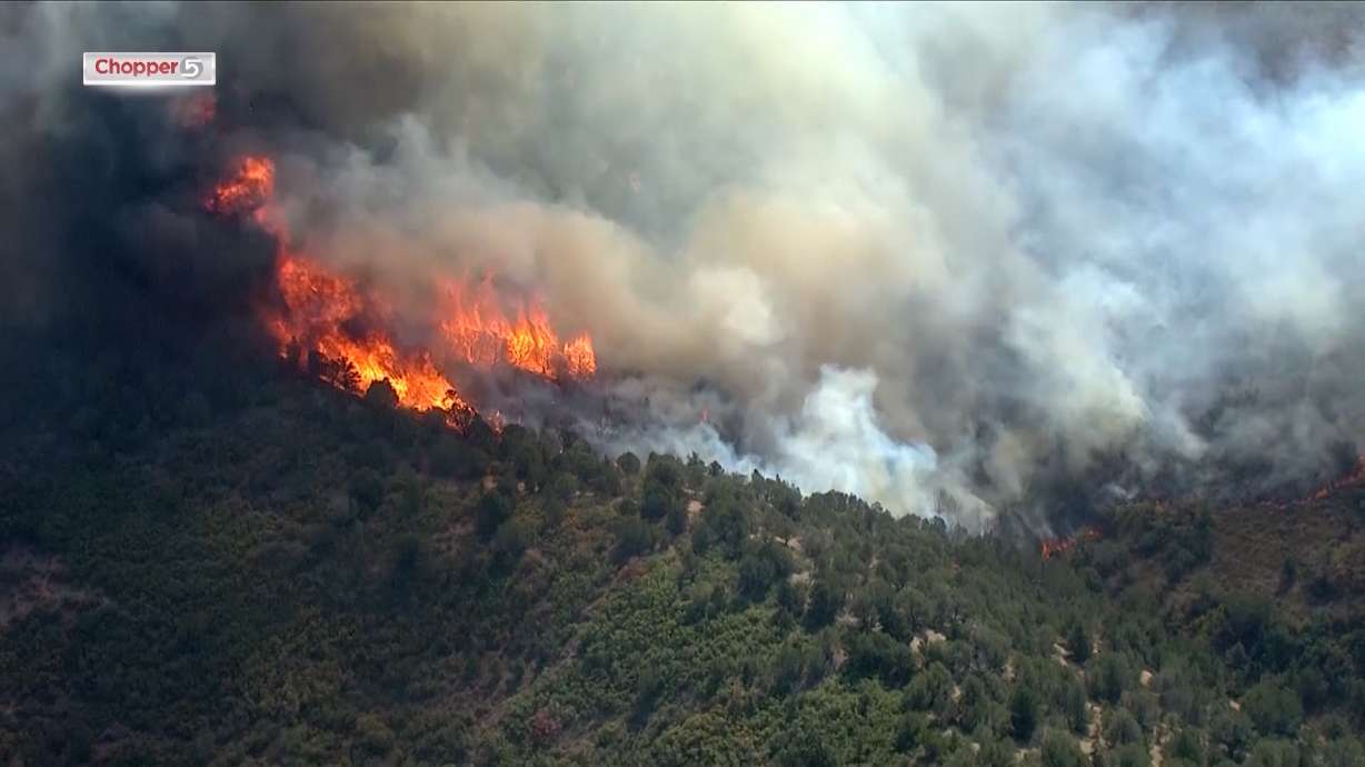 Wildlife officials to begin restoration on local areas affected by fires