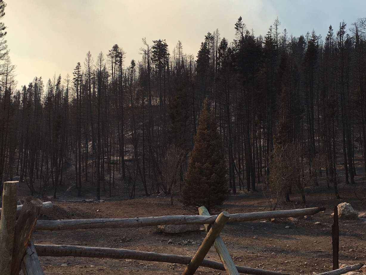 Fire bosses showed KSL TV where trees had burned due to the Pole Creek Fire and the Bald Mountain Mountain Fire, as well as where a fire line was protecting homes on Wednesday, Sept. 19, 2018. (Photo: KSL TV)