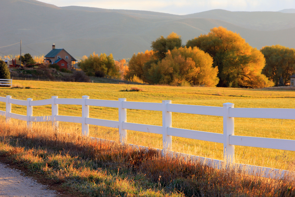 3 reasons you don't need to irrigate in October