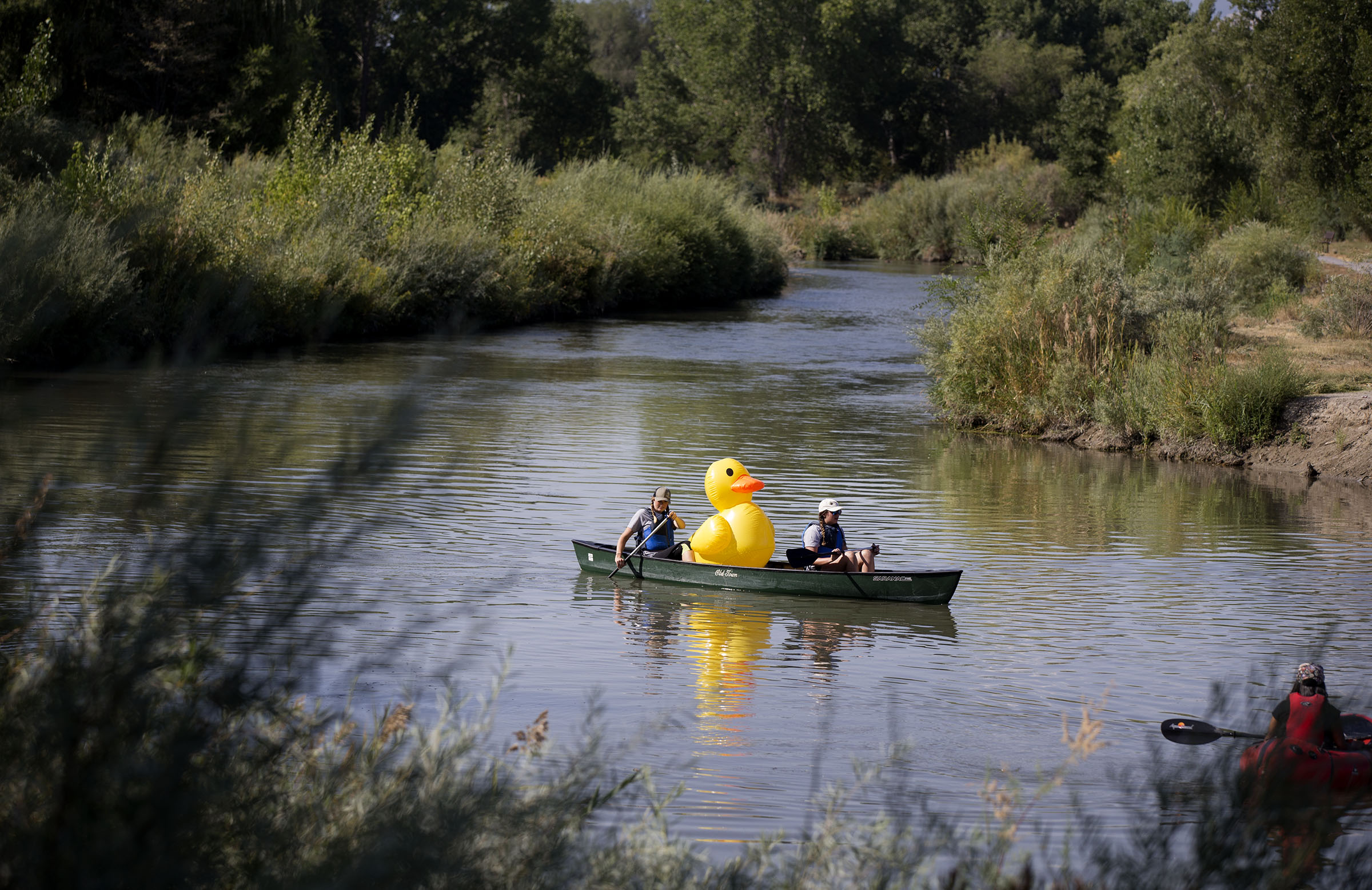 Mayors paddle the Jordan River to highlight 'little oasis' in middle of Salt Lake County