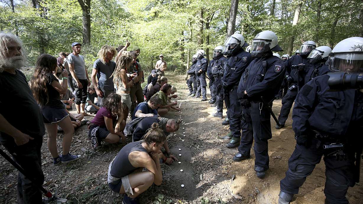 German energy company: saving threatened forest 'illusion'