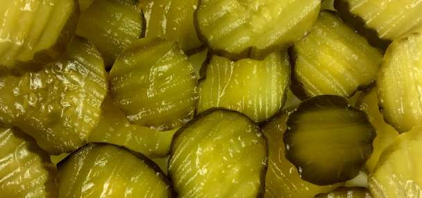 Pickle is the pumpkin spice of summer