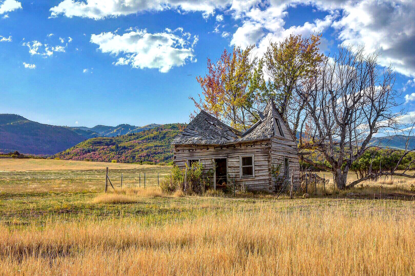 User submitted: Fall is here and we've got photos to prove it