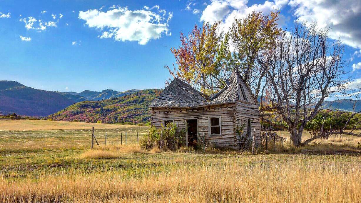 User submitted: Fall is here and we've got photos to prove it